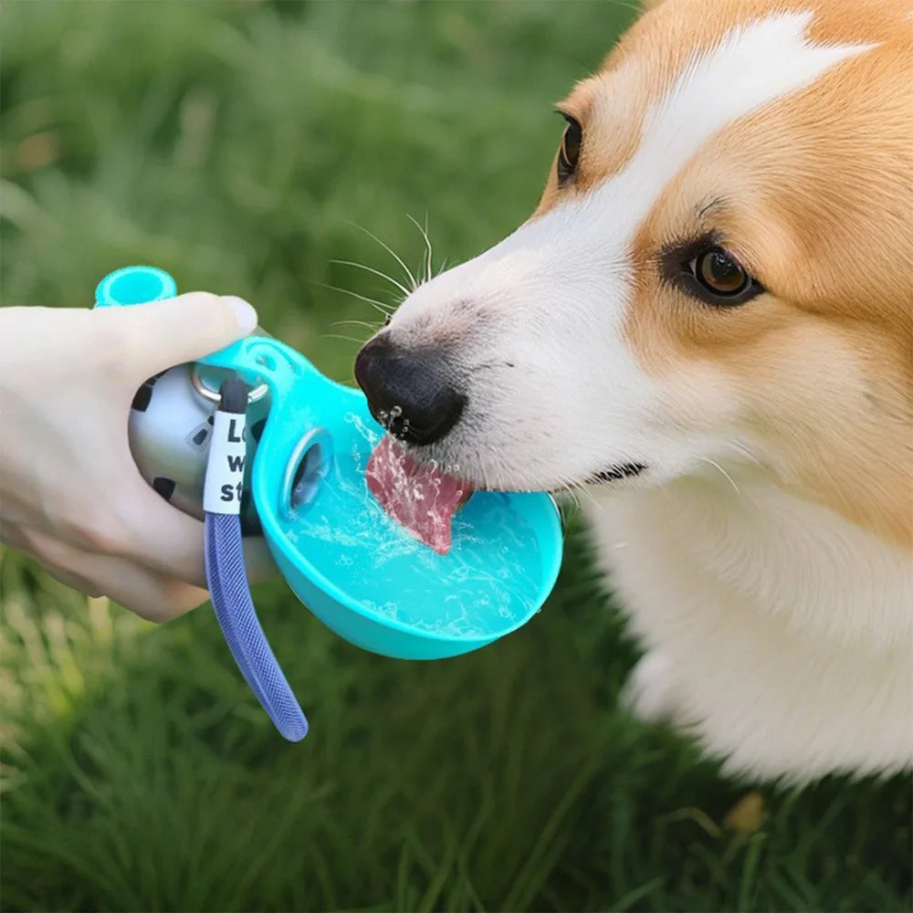 PawFlow/ Die Trinkflasche für deinen Hund